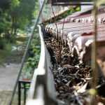 What Are the Signs That Your Gutters Need Immediate Cleaning?