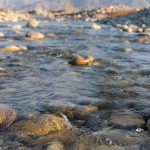Discover How to Keep Your Pond Crystal Clear 01