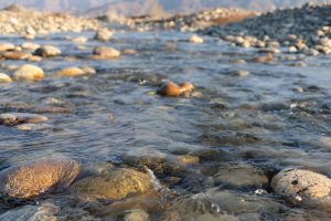 Discover How to Keep Your Pond Crystal Clear 01
